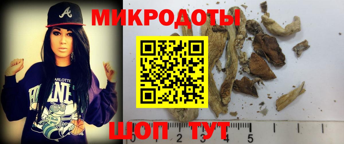 Галлюциногенные грибы Magic Shrooms Дальнереченск
