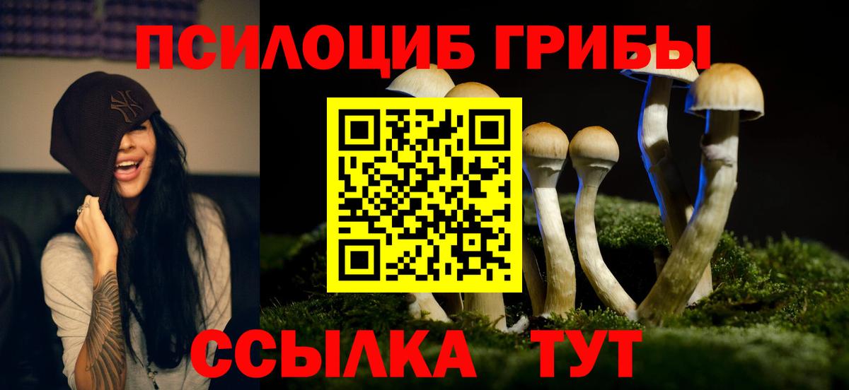 Галлюциногенные грибы MAGIC MUSHROOMS  Вход с VPN  Дальнереченск 